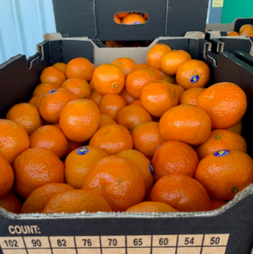 MANDARIN CLEMENTINE 30-5-19