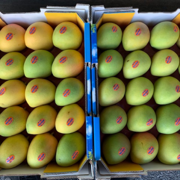 MANGOES10-10-19