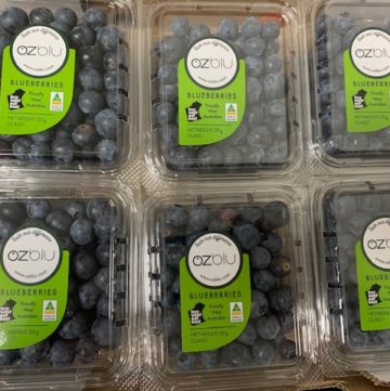 OzBlu Blueberries