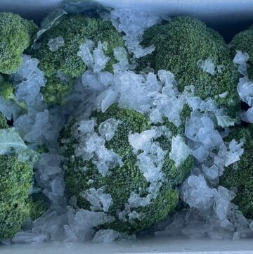 Broccoli Iced – Cropped