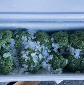 Broccoli Iced