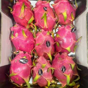 Dragon Fruit Local 9 count