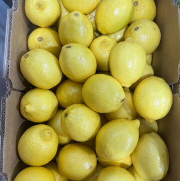 Lemons QLD Opal’s