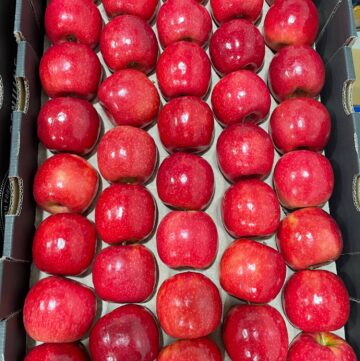 Apple Pink Lady – Lady in Red