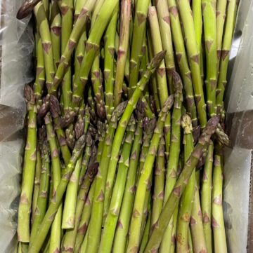 Asparagus Torbay 2022