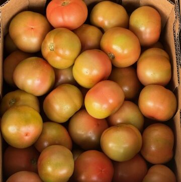 25-5-24 CVN Tomatoes1