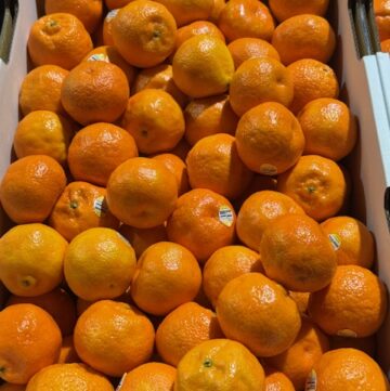 11-6-24 Clementine Mandarins