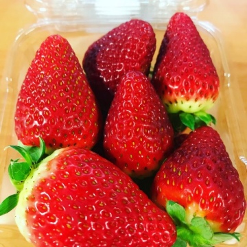 Berries