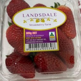 Landsdale-Strawberry-rotated