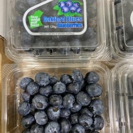 blueberrys-regans-ford