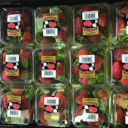 17-5-8 strawberrys