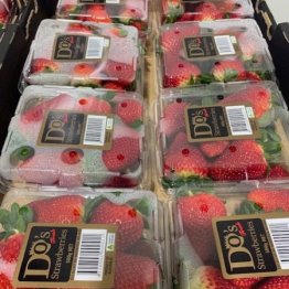 24-8-20-strawberrys-500g