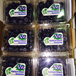 BLUEBERRYS1