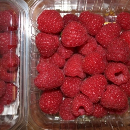 RASEBERRYS