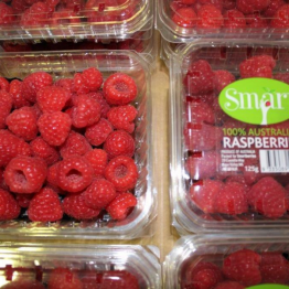 RASEBERRYS1