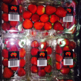 STRAWBERRYS3