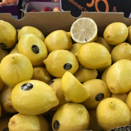 15-2-19 lemons