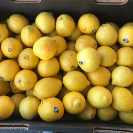 17-5-18 lemons wa