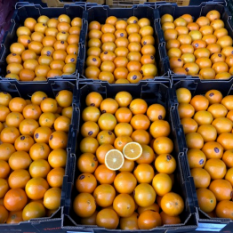 6-5-19 Venus oranges