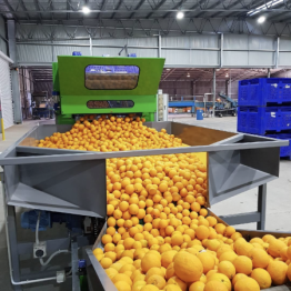 35E17C6D-CB9C-4491-9DC2-F634C47EDD15