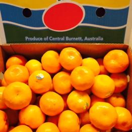 IMPERIAL MANDARINS