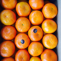 MANDARINS AFOURA ES