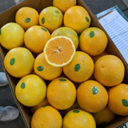 ORANGES VALENCIA SA