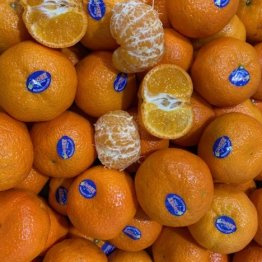 mandarins-nectar