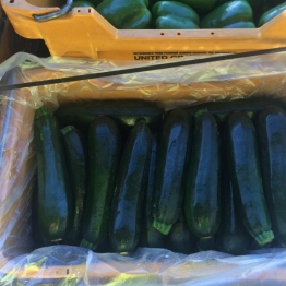 ZUCCHINI
