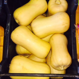 BUTTERNUTS1