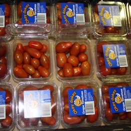 GRAPE-TOMATO1