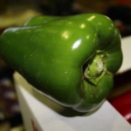 GREEN-CAPSICUM