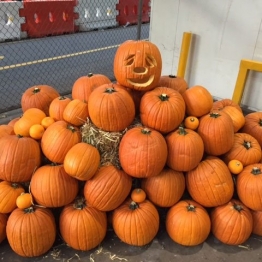 ORANGE-PUMPKIN-HALLOWEEN