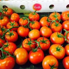 TRUSS TOMATOES
