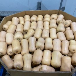 butternuts-southwest-