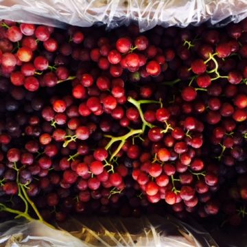 Grapes