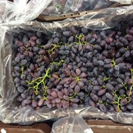 CRIMSON-GRAPES