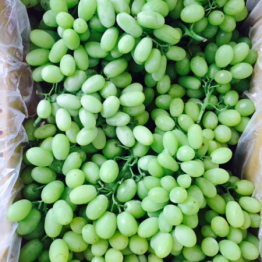 DAWN WHITE SEEDLESS