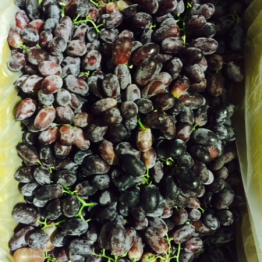 RED CRIMSON GRAPE