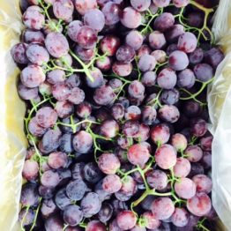 RED GLOBE GRAPES