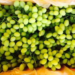 WHITE SEEDLESS GRAPES