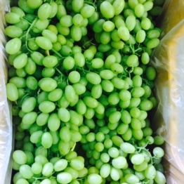 WHITE SEEDLESS GRAPES1
