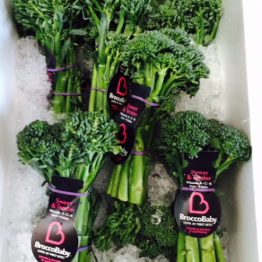BROCCOLINI