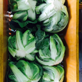 CAULIFLOWER1