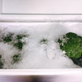 ICE BROCCOLI