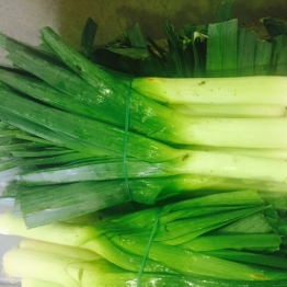 LEEKS 14-4-16