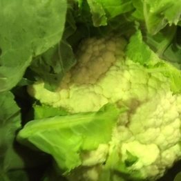 cauliflower