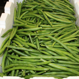 BEANS STRINGLESS