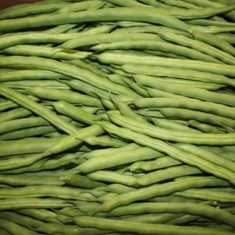 KB-BEAN1