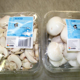 MUSHROOMSCUP-SLICED